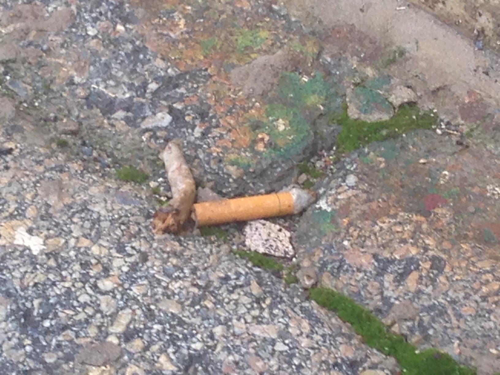 Everyday Sustainability: Tossing Your Cigarette Butt is Littering