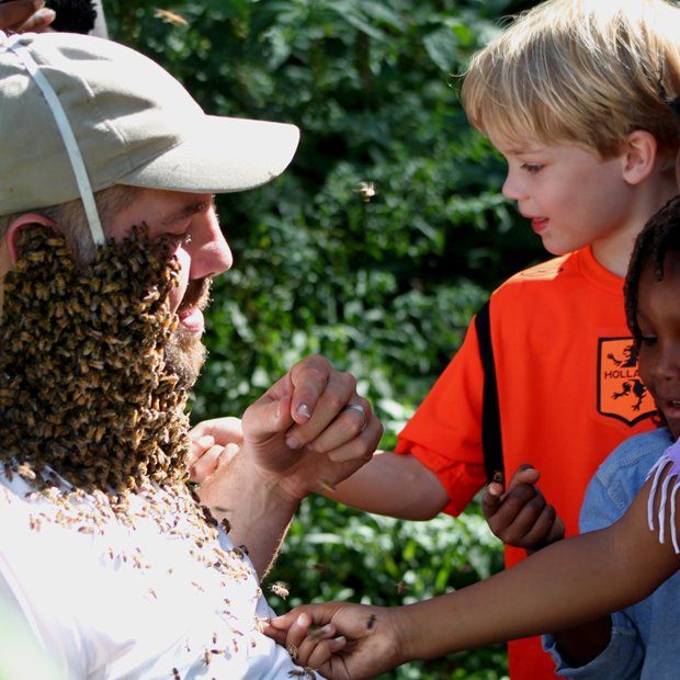Philadelphia Beekeepers Guild will host 5th Annual Natural Bee Symposium on February 8