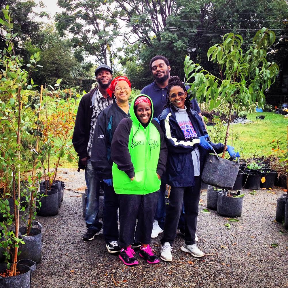Tree Philly is Holding Its Community Yard Tree Giveaway Grant Program Again This Year