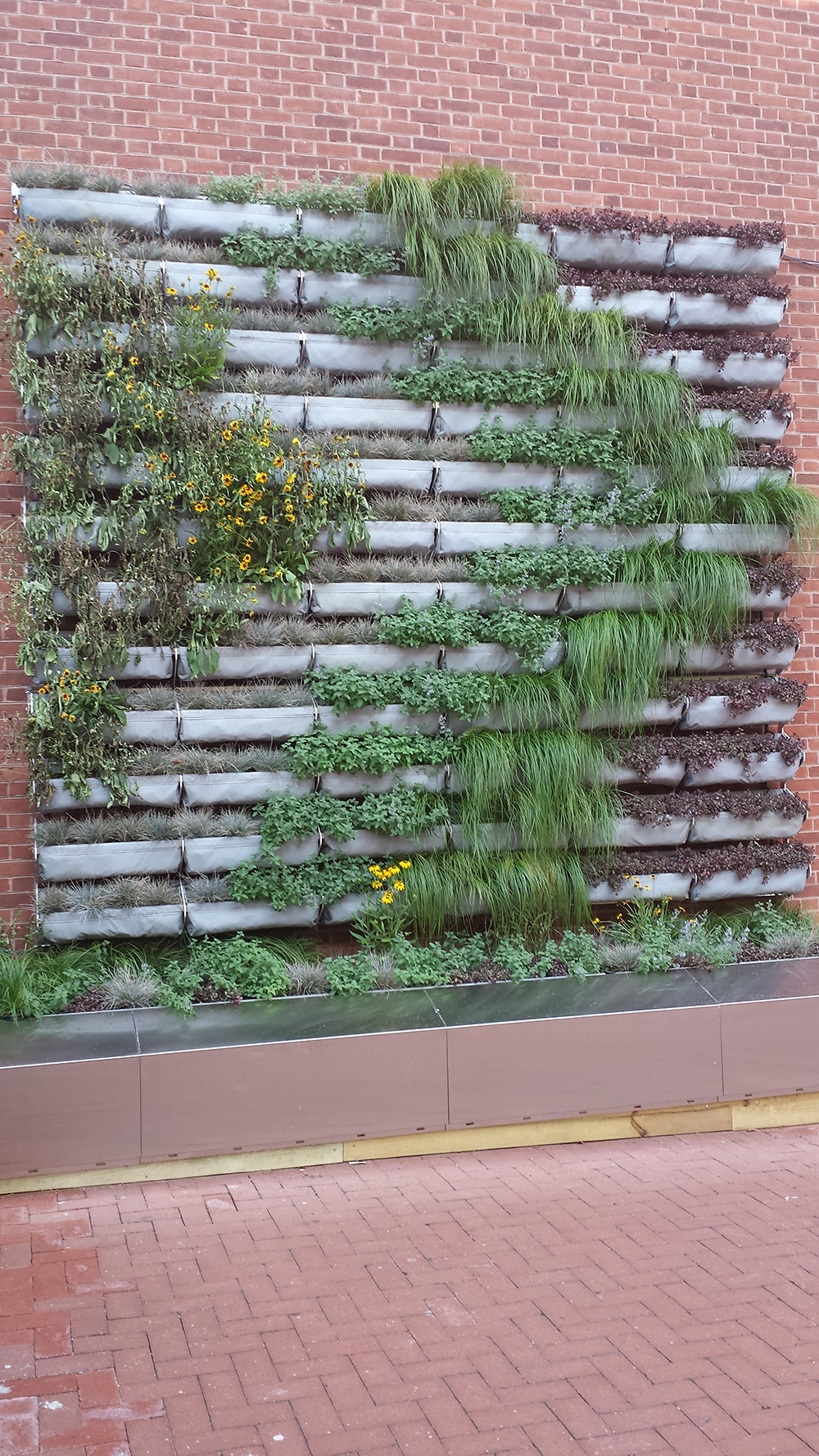 A new “living wall” at 3rd and Walnut acts as billboard for green tools