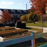 North Philly Peace Park is crowdfunding to build a school