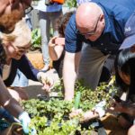Farm for the City: Growing an urban garden near City Hall to fight food insecurity
